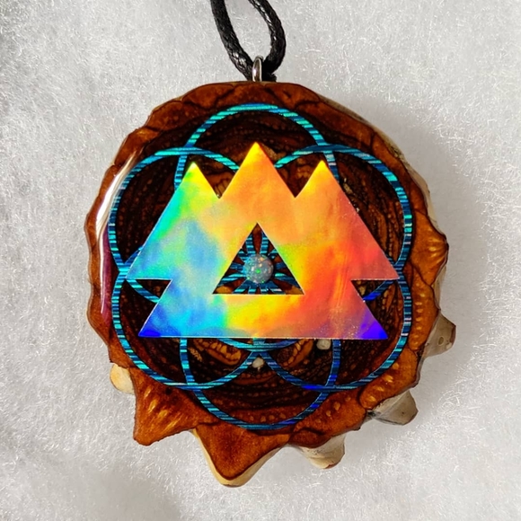 Pineal pinecone - Picture 12 of 13